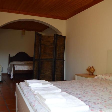 Casa Do Tejo Apartment Constancia Luaran gambar