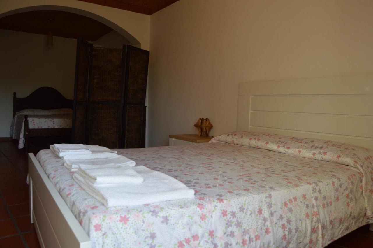 Casa Do Tejo Apartment Constancia Luaran gambar