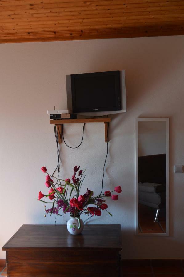 Casa Do Tejo Apartment Constancia Luaran gambar